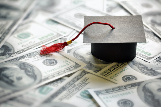 Borrowers held more than $120 billion in private student loan debt in 2019. (Brian Jackson/Adobe Stock)