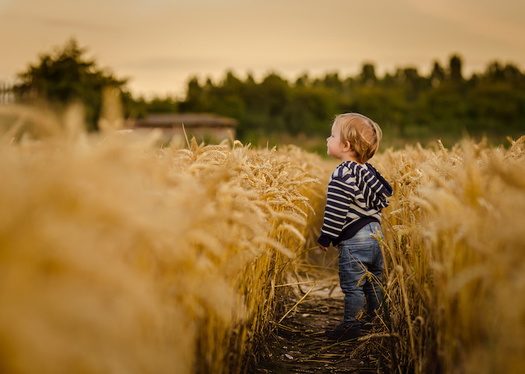 More than 23% of children in Arkansas live in families that face hunger on a regular basis. (Adobe Stock)