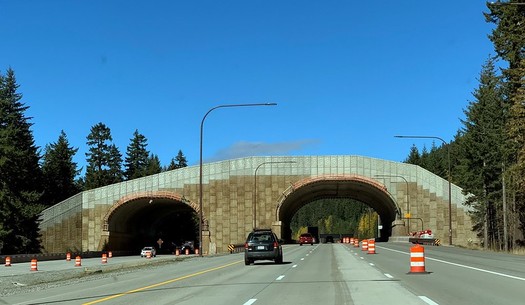 The Washington State Department of Transportation has completed a wildlife crossing on I-90 near Snoqualmie Pass. (WSDOT/Flickr)