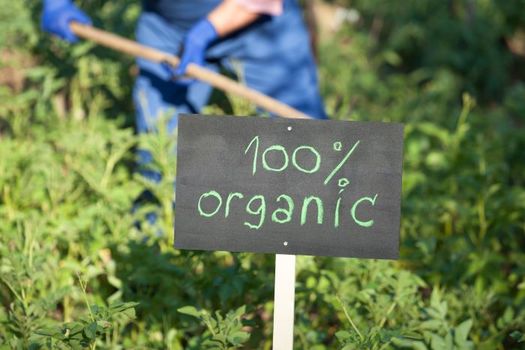 The Office of Management and Budget is reviewing a proposed rule that is expected to reduce the importation of fraudulent organic products. (Adobe Stock)