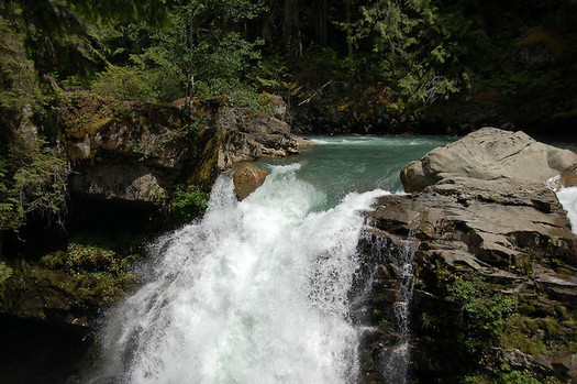 The Nooksack River is crucial salmon habitat for the Northwest. (Patrick McNall/Flickr)