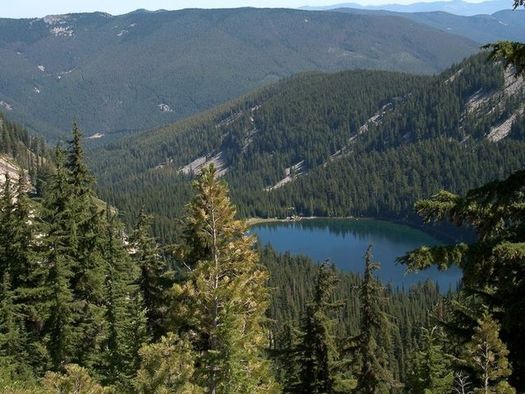 The Idaho Panhandle National Forest has a $141 million maintenance backlog. (Greg Tensmeyer/U.S. Forest Service)