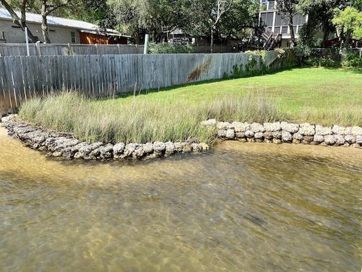 Living shorelines refer to a broad range of shoreline stabilization techniques that use vegetation, shellfish or other natural resources to stabilize estuarine coasts, bays and tributaries. (Jennifer McPeak/National Wildlife Federation)