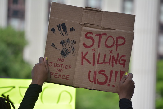 Protesters against racism and police brutality have gathered in cities across Idaho since George Floyd's death. (vivalapenler/Adobe Stock)