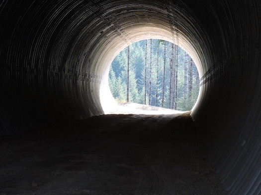 A $250 million wildlife crossing pilot program is included in the Senate version of a major transportation bill. (Oregon Department of Transportation/Flickr)