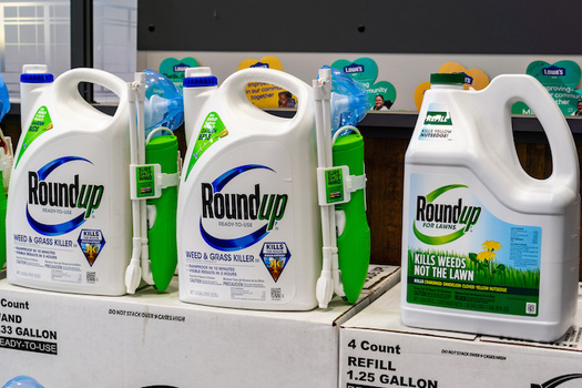 Researchers estimated 18.9 billion pounds of glyphosate, the key ingredient in the weed killer Roundup, have been used globally. (Adobe Stock)