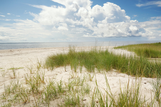 Millions of vacationers flock to North Carolina's Outer Banks each year. (Adobe Stock)