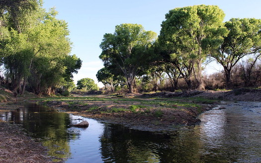 Conservation groups say they fear construction of a border wall across the San Pedro River could cause flooding during the rainy season and block a migration route for endangered animals. (Flickr)