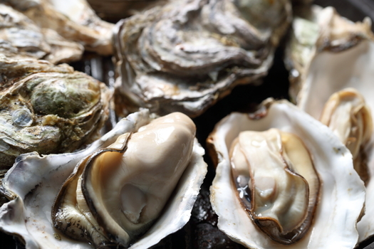 Restaurant shutdowns during the COVID-19 pandemic have impacted the Chesapeake Bay oyster industry as well as local communities dependent on fishing and tourism. (Adobe Stock)