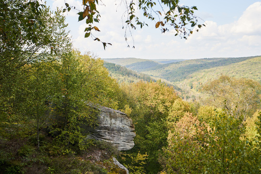 Friends of Allegheny Wilderness hopes to protect 50,000 acres of the Allegheny National Forest under the Wilderness Act. (Daniel/Adobe Stock)