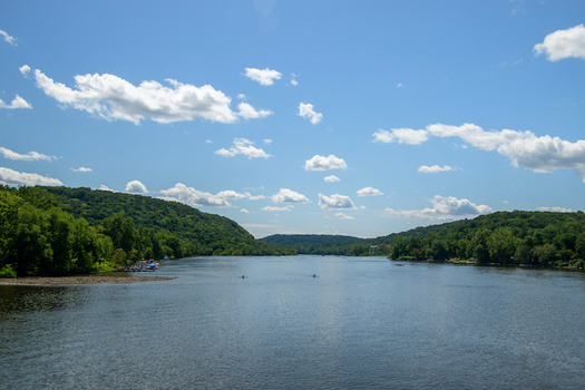 Dam removal on Delaware tributaries helps migratory fish such as shad, sea lamprey, river herring and American eel. (ALAN/Adobe Stock)
