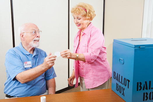 More than half of poll workers in 2016 were over the age of 60 -- a high risk group during the COVID-19 pandemic. (Lisa F. Young/Adobe Stock)