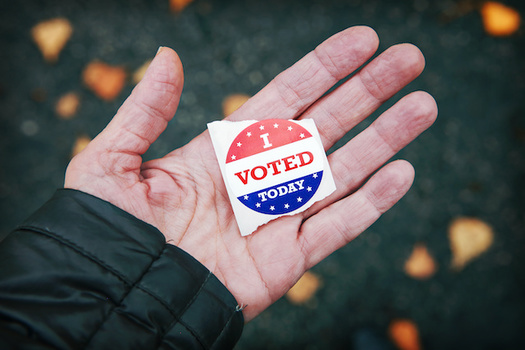 Idahoans without state identification still can vote in the Nov. 3 election if they register by Oct. 9. (soupstock/Adobe Stock)