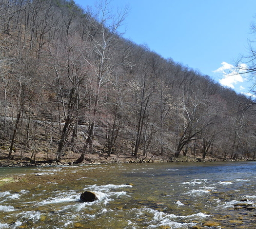 A federal judge ruled that Bluestone Coal Corp. will have to pay penalties and cleanup costs for leaking selenium from mines into McDowell County streams. (Wikimedia Commons)