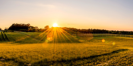 North Carolina is nearly twice as rural as the national average, according to Census data. (Adobe Stock)