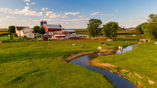 Agriculture accounts for 93% of the nitrogen pollution reductions needed to meet Pennsylvania's Clean Water Blueprint commitments. (asafaric/Adobe Stock)