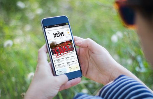 Misinformation often exploits people's deeply held beliefs to get a reaction out of them. (MclittleStock/Adobe Stock)