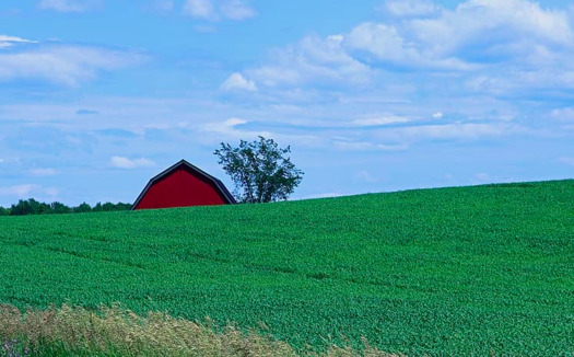 Maine's current census response rate is less than 56%, among the five lowest rates by state. The national average is about 63.5%. (Pikist/Creative Commons)