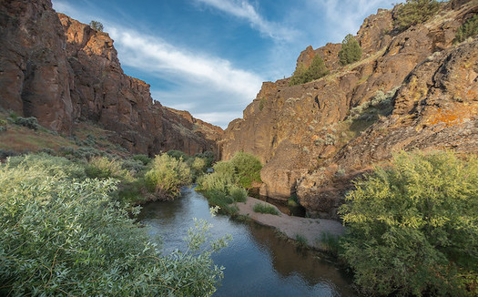 The Owyhee Canyonlands of southeast Oregon is one of the largest intact landscapes in the West. (Greg Shine/Bureau of Land Management)