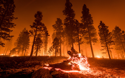 Some activists say with all the destruction seen from wildfires this year, the nation could be reaching a turning point in getting through to climate change deniers. But President Donald Trump is still not publicly linking the two issues. (Adobe Stock)