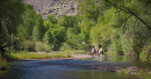 Outdoor recreation in New Mexico generates nearly $10 billion annually in consumer spending. (masoncummings/wilderness.org)