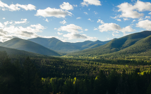 The Helena-Lewis and Clark National Forest, located in west-central Montana, covers more than 2.8 million acres of land. (Adobe Stock)
