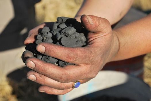 A pasta maker creates pellets containing seeds that could be key to sagebrush restoration. (The Nature Conservancy)