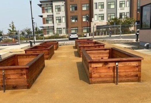 Planter boxes are under construction at the Age Well Center in Fremont, thanks to a grant from AARP California. (Suzanne Shenfil)