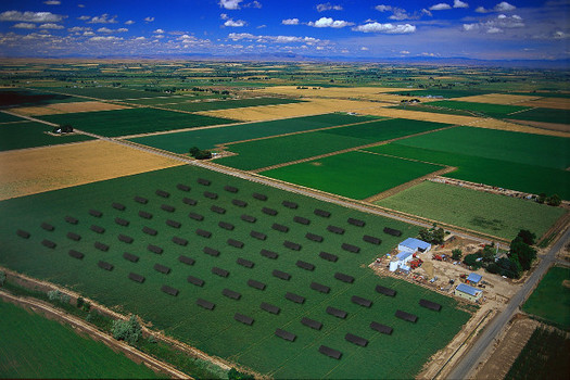 Irrigation incurs big costs for Idaho farmers that can be offset by solar projects. (David Frazier/Flickr)
