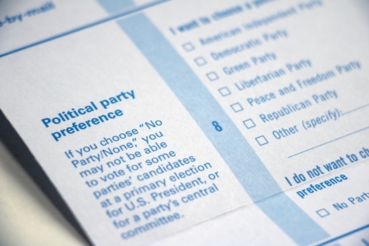 Proposition D on the ballot in St. Louis would create nonpartisan primaries for municipal elections. (Adobe Stock)