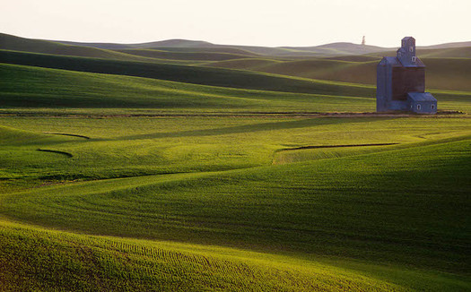 In 2018, Nebraska ranked first among states for renewed acres in the Conservation Stewardship Program, which offers cost-share and technical assistance for conservation on working lands. (Pixabay)