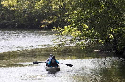 Paddlers make their way along the Waccamaw River picking up trash near Conway, S.C. (Jason Lee/JLEE@THESUNNEWS.COM)