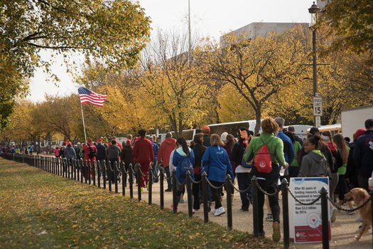 The 2019 Greater Washington Heart walk was held in D.C., but this year's effort will be held virtually to maintain social distancing during the pandemic. (American Heart Association)