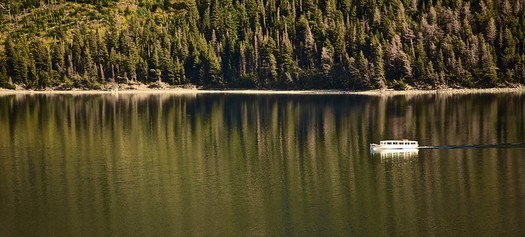 There are 17 million acres of national forest land in Montana. (Tom Driggers/Flickr)