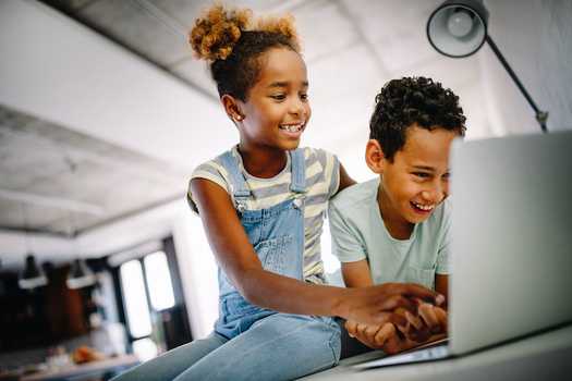 Research from Pew shows around 79% of American households have home broadband internet access. (Adobe Stock)
