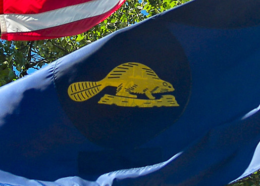 A beaver graces Oregon's flag, but these animals are offered few protections by the state. Conservation groups are working to change that. (dixonmanor/Flickr)