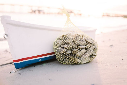Carbon pollution is changing the chemistry, temperature and biology of the ocean, with negative impacts on oyster farms. (The Nature Conservancy)