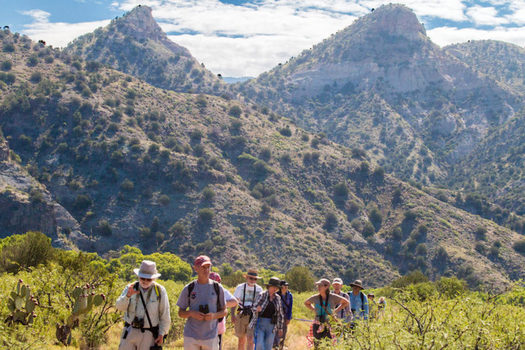 Prior to the COVID-19 pandemic, roughly 913,000 people visited the Gila and San Francisco Rivers annually, according to a new study. (swnmaudubon.org)