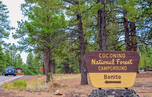 The Coconino National Forest in north-central Arizona is part of more than 11 million acres of woodlands in the state managed by the U.S. Forest Service. (Wikimedia Commons) 