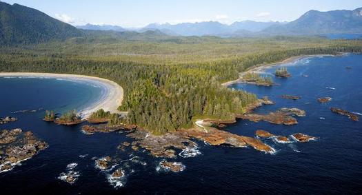 Parts of the Emerald Edge could sequester 3.5 million tons of carbon dioxide, if protected. (Bryan Evans/The Nature Conservancy)