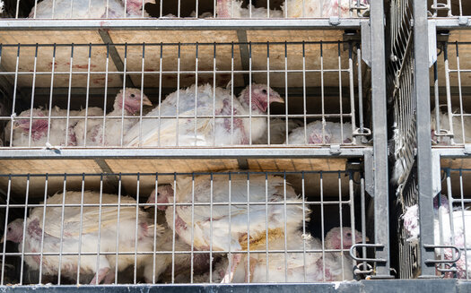 Cargill says it works with 600 