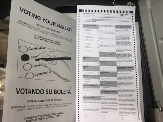 Amendment 4, passed by Florida voters in 2018, restored voting rights to people who had been convicted of felonies but served their time. (Trimmel Gomes)
