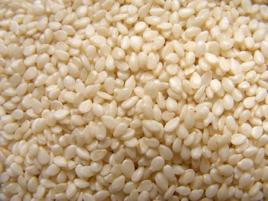 About 1.5 million Americans are highly allergic to sesame seeds and sesame-based products. (TAndrews/Morguefile)