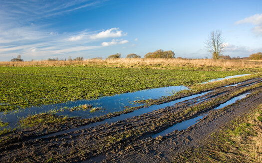 Extreme weather events have resulted in more flooded fields for Wisconsin farmers in recent years. (Adobe Stock)