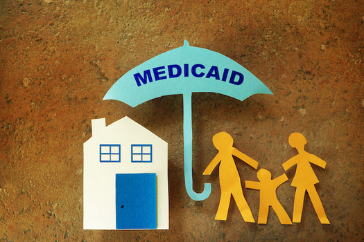 Idaho expanded Medicaid in 2020 to about 100,000 residents. (zimmytws/Adobe Stock)