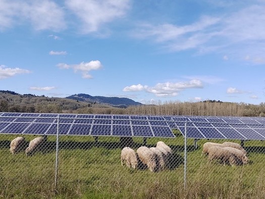 Developing enough solar energy on farms to generate a fifth of the country's electricity needs could create 100,000 jobs. (Sean Nealon/Oregon State University)