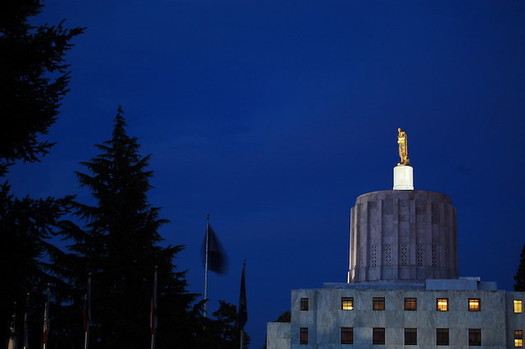 During the violence in Washington, D.C., protests also took place outside of the Oregon state Capitol in Salem. (Edmund Garman/Flickr)