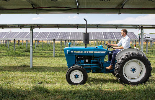 Jack's Solar Garden in Boulder County offers tours to visiting farmers and local schools to help cultivate the next generation of agrivoltaic farmers. (NREL)