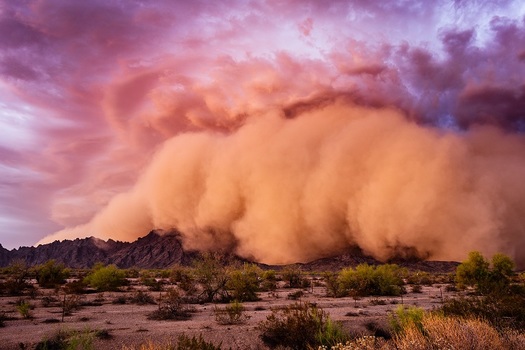 Climatologists say an increase in the number of destructive dust storms - sometimes called haboobs - that develop during Arizona's hot, dry summers are a product of climate change. (Mdesigner125/Adobe Stock)