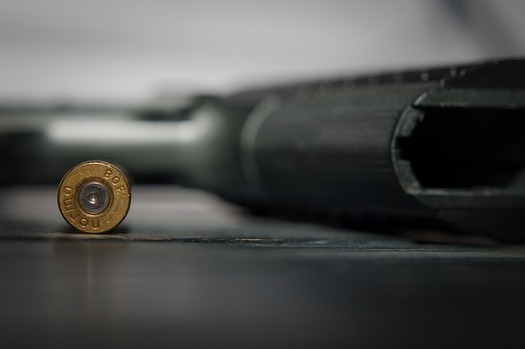 Prior to this month's health clinic shooting, Minnesota lawmakers debated certain gun control measures, yet partisan divides have blocked bills from advancing. (Pixabay)